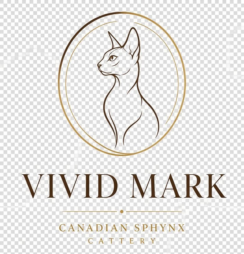 Vivid Mark